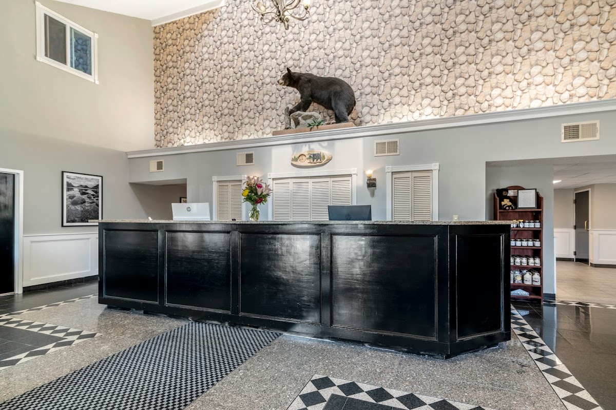 Black Bear Inn, Ascend Hotel Collection photo 3