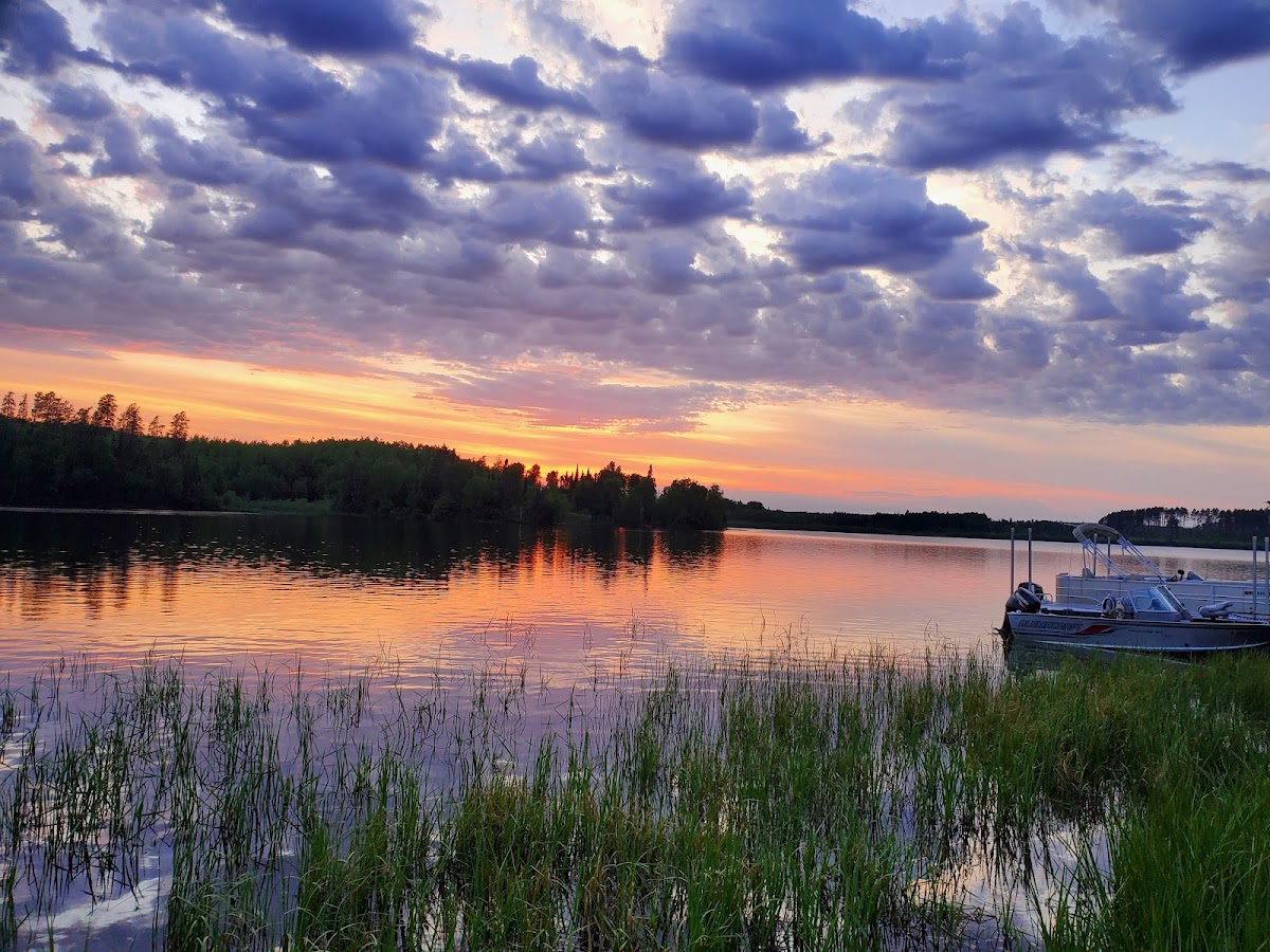 Big Balsam Camp