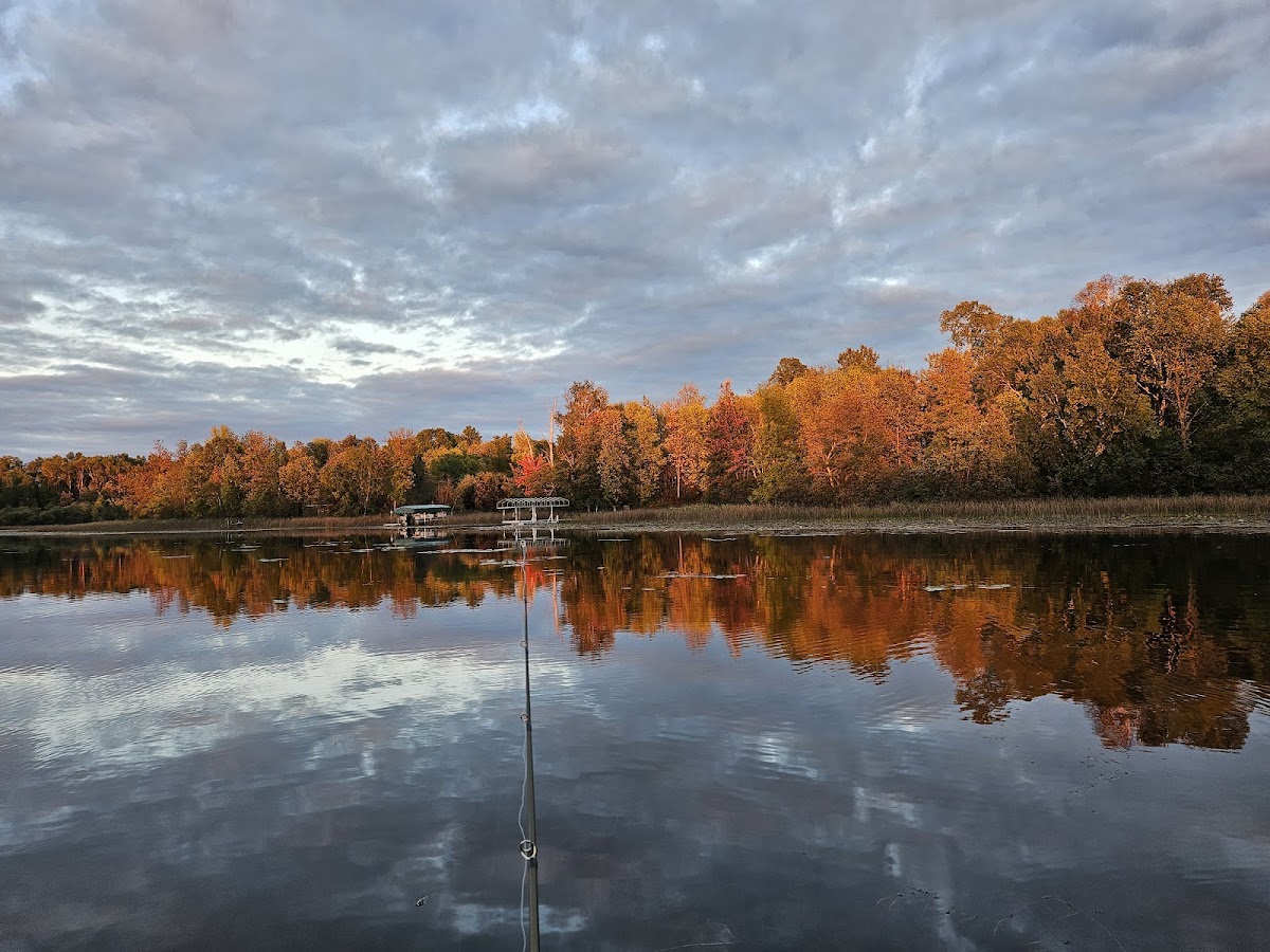 Big Balsam Camp photo 3
