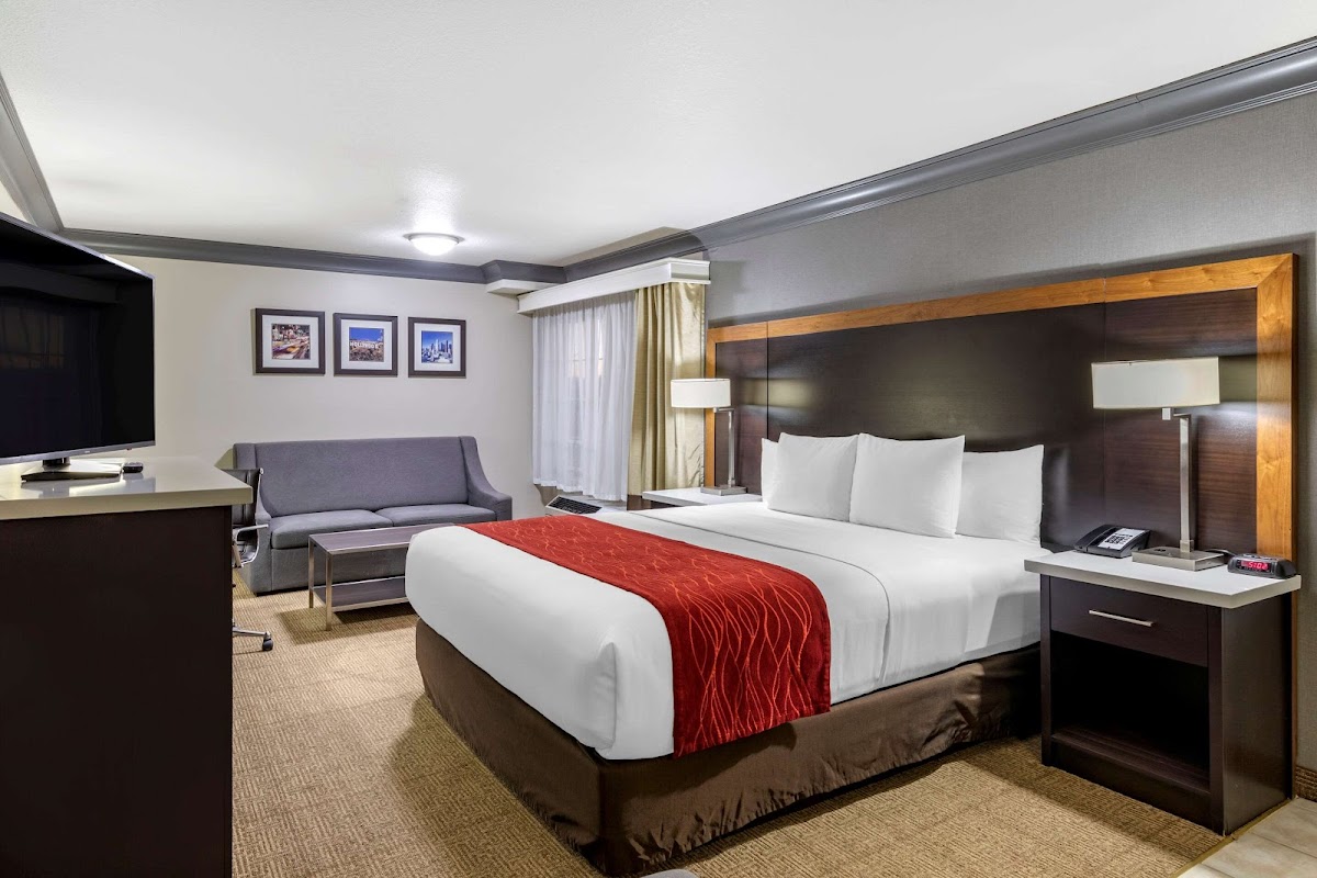 Comfort Inn & Suites Near Universal - N. Hollywood - Burbank photo 2