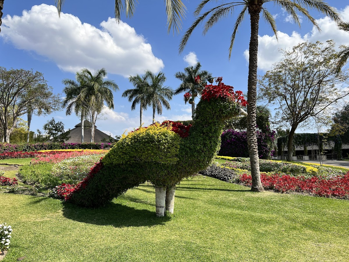 Jardines de México