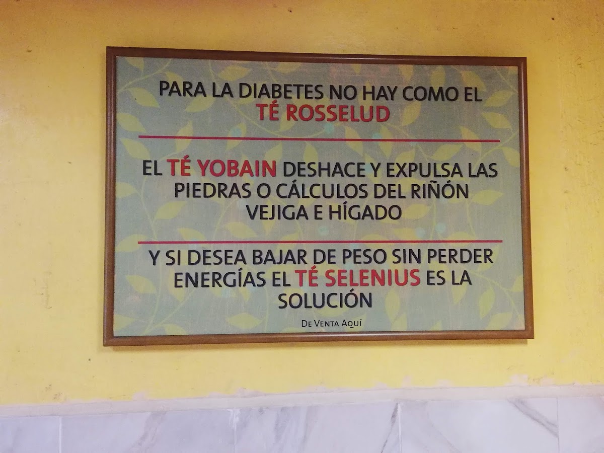 HOTEL José Nina