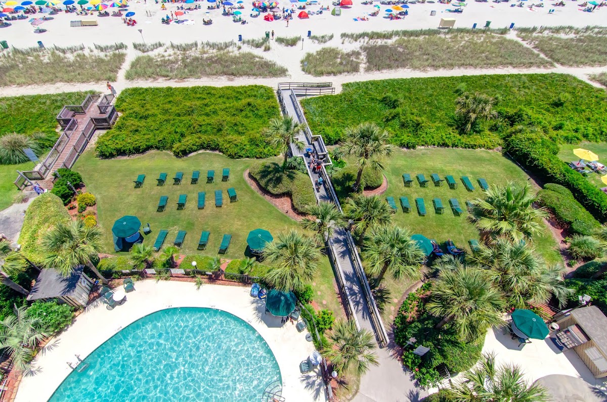 Palms Resort
