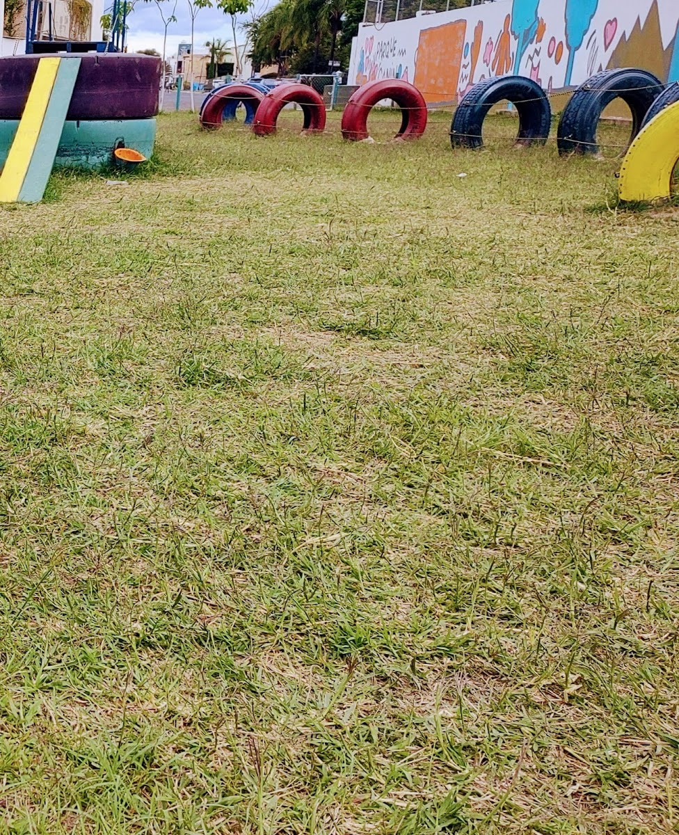 ESTANCIA CANINA SHAILO'S