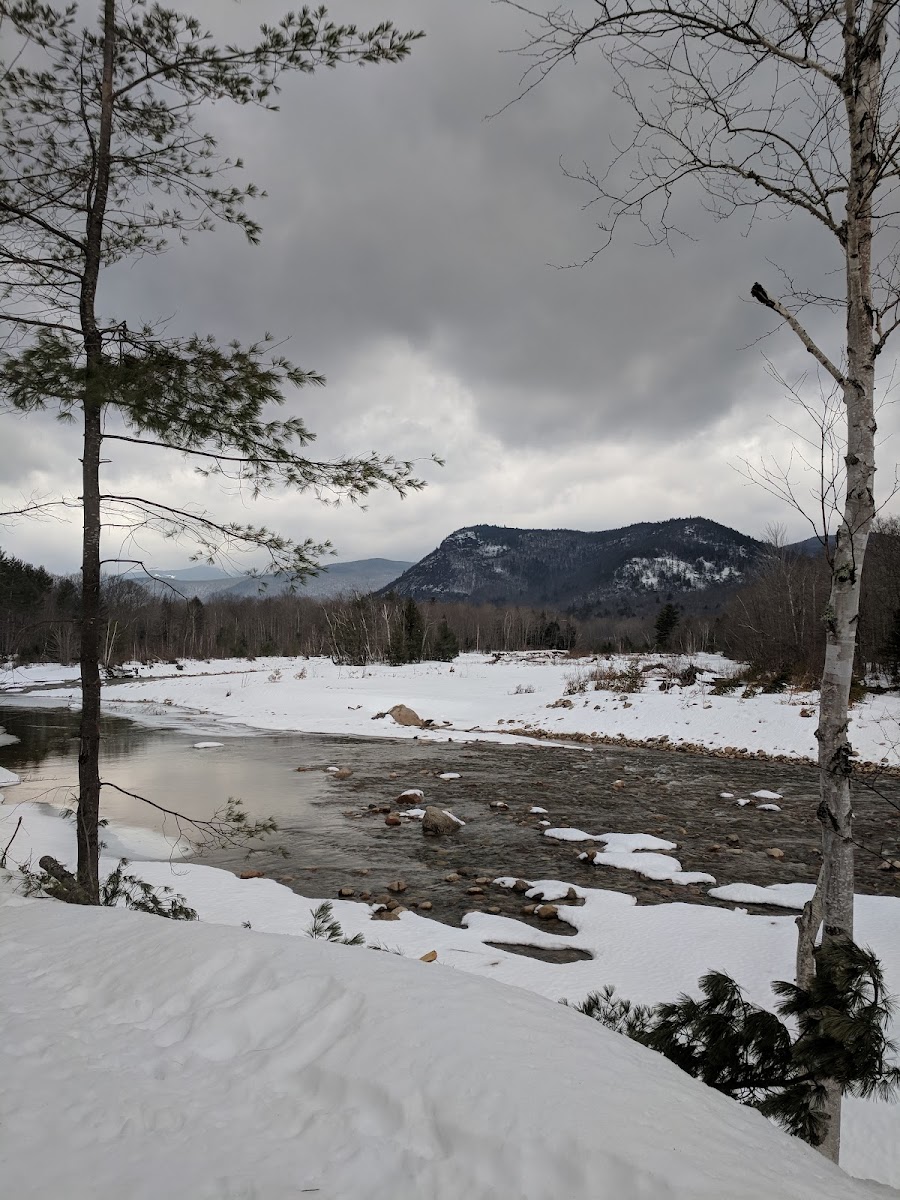 Bear Notch Ski Touring Center photo 2