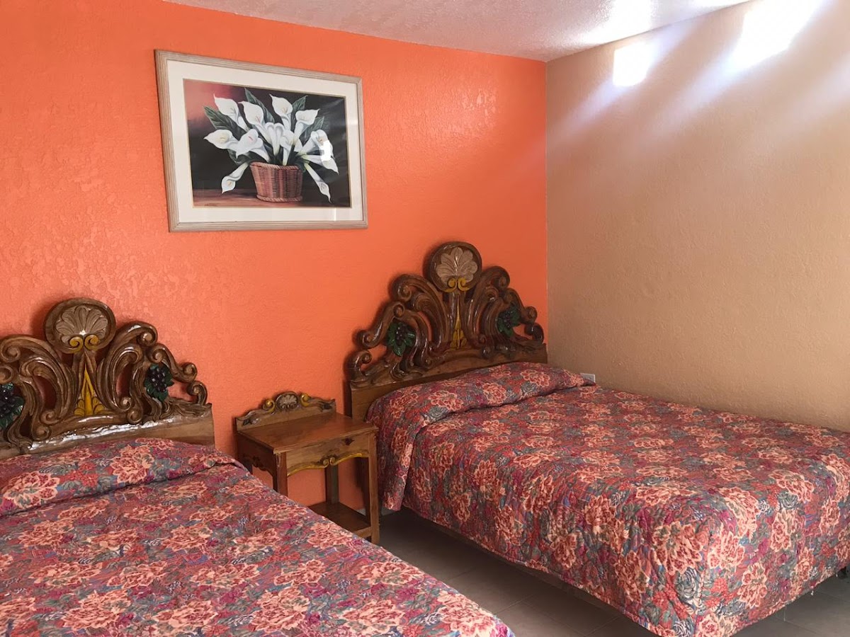 Guesthouse Del Pinar photo 2