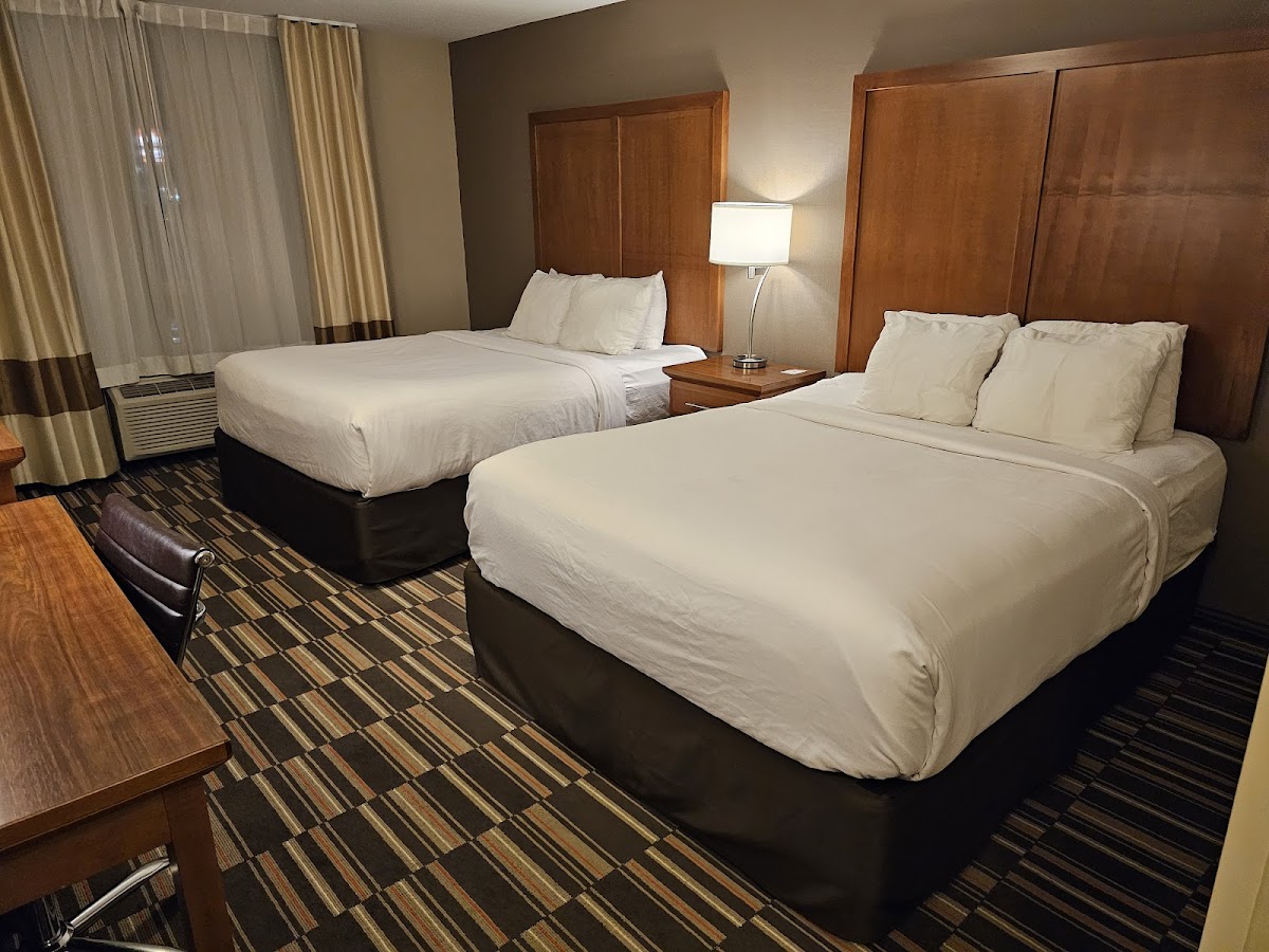 Comfort Inn & Suites Edmonton International Airport photo 2