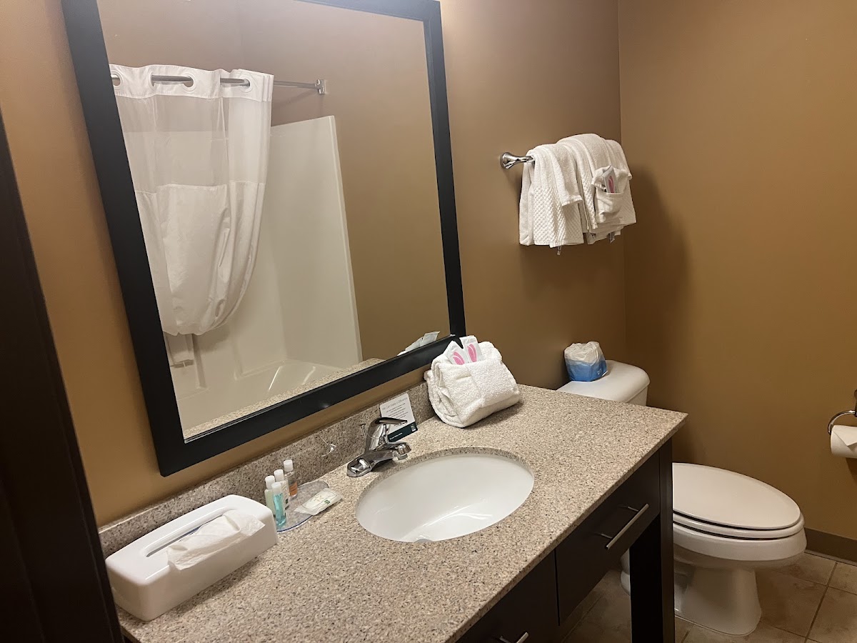 Quality Inn & Suites Minot North photo 3