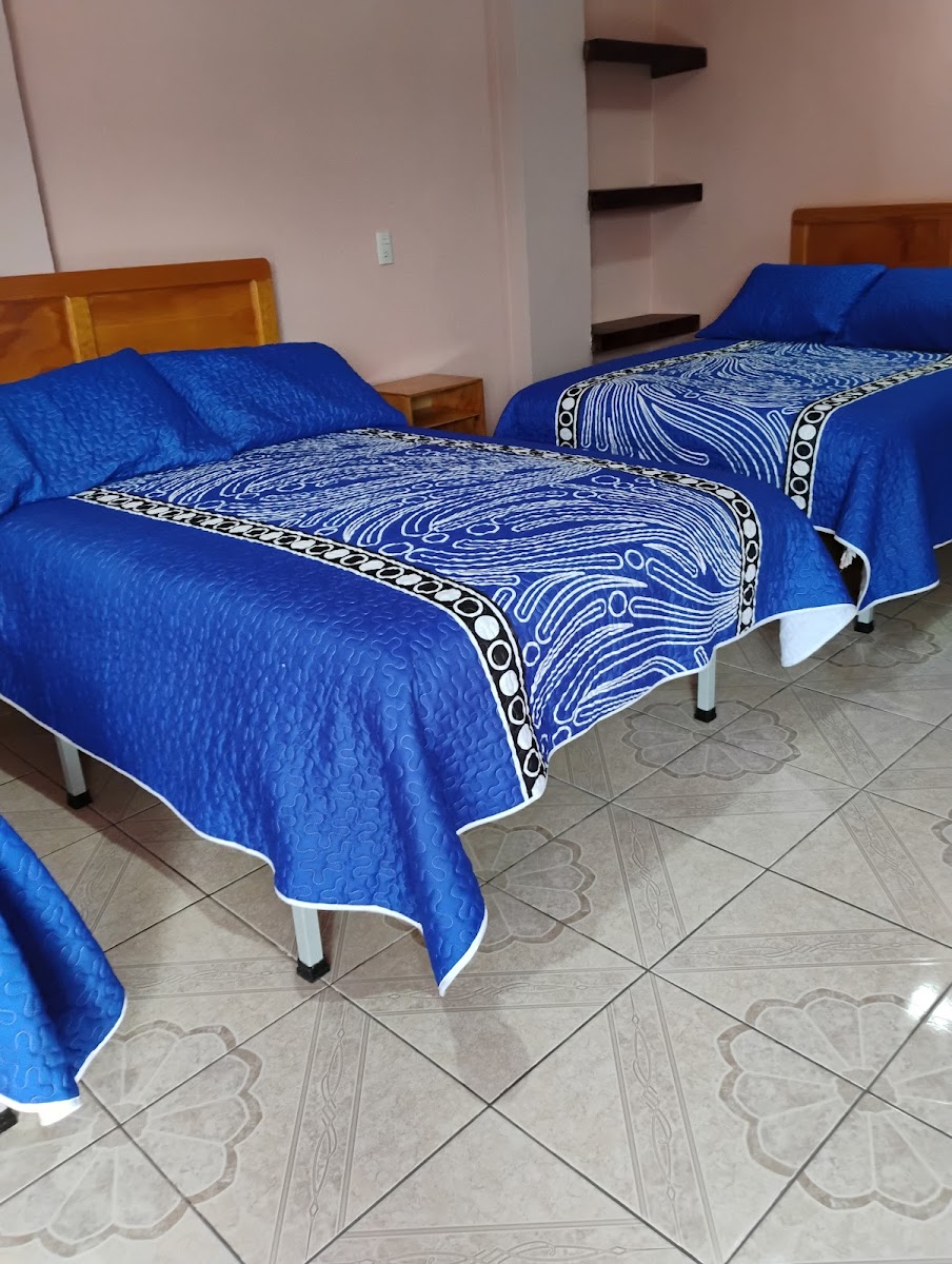 Hotel Alba photo 3