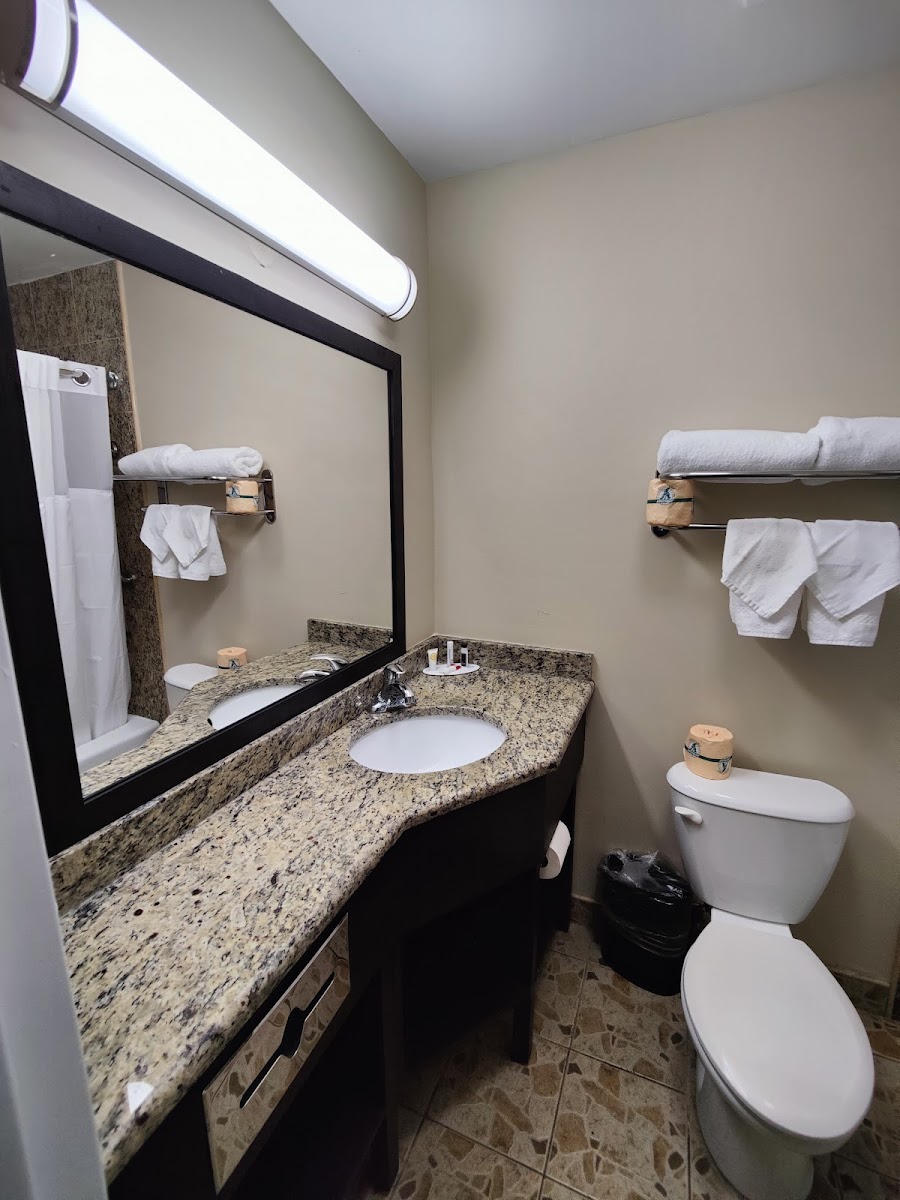 Travelodge by Wyndham Ozone Park photo 3