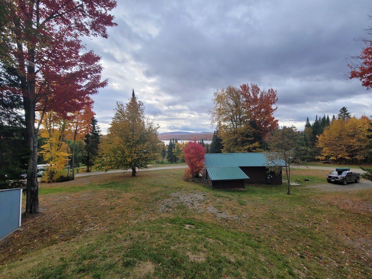 Spruce Cone Cabins photo 3