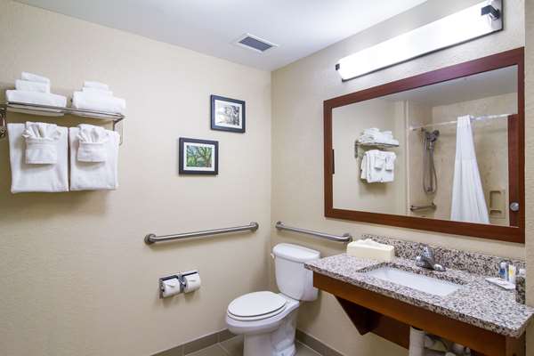 Comfort Inn Blackshear Hwy 84 photo 3