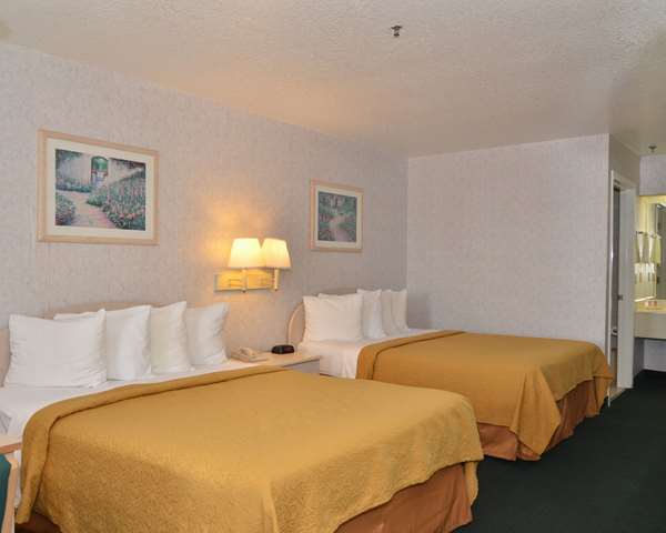 Econo Lodge Downtown South photo 2