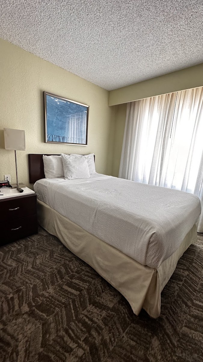 SpringHill Suites by Marriott Boca Raton photo 2
