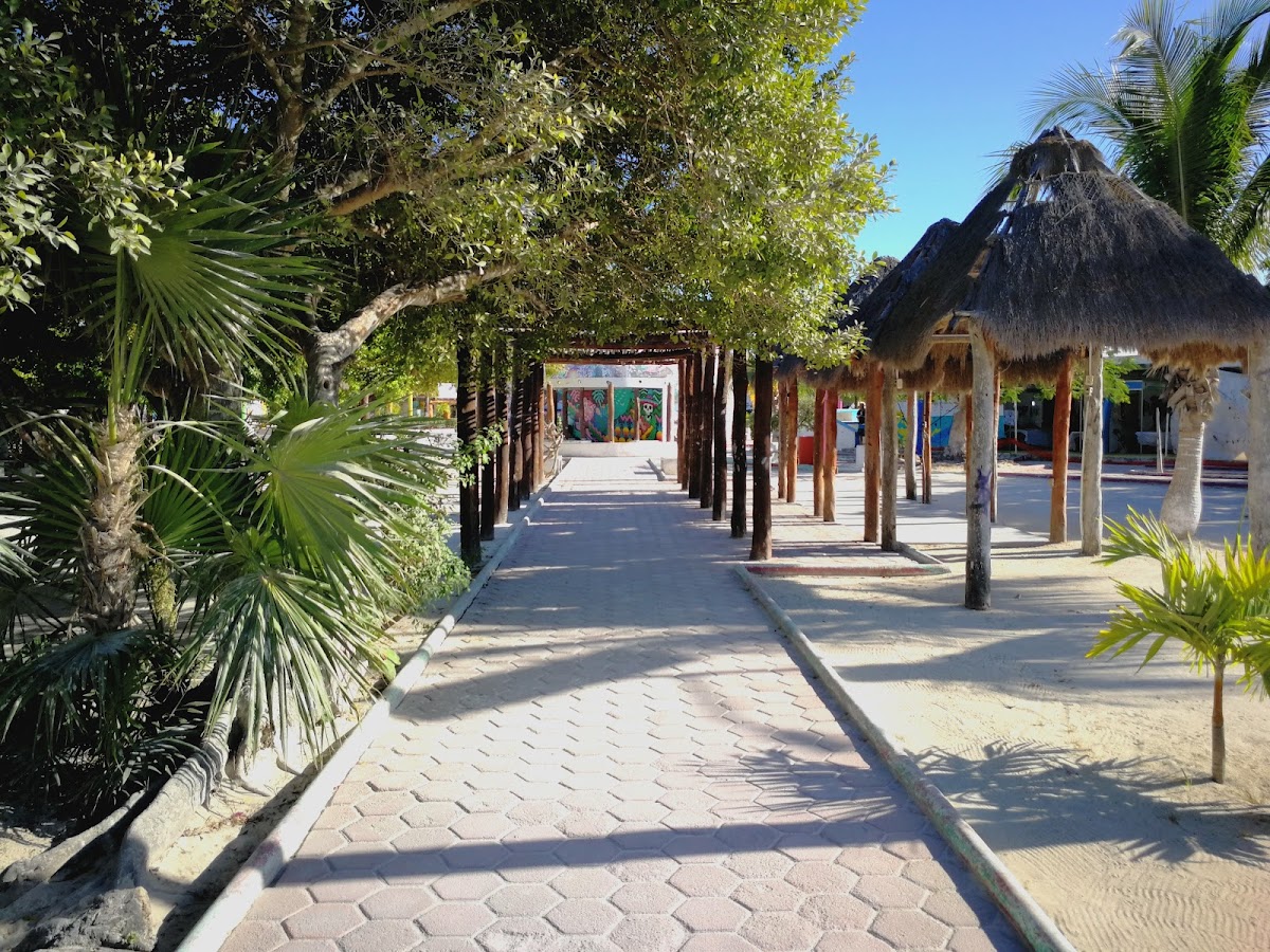 Posada Amapola
