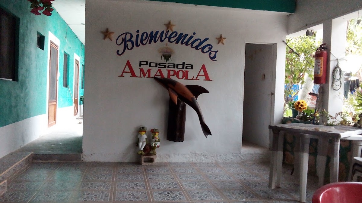 Posada Amapola photo 3