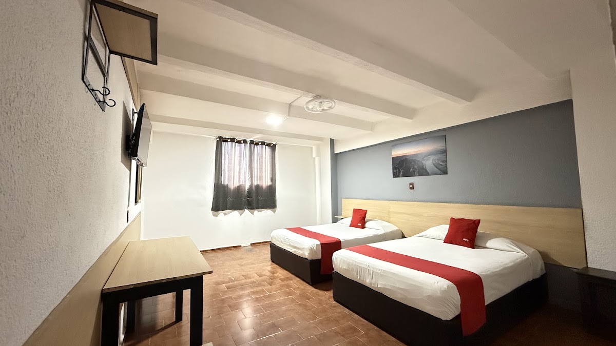 Hotel Halley photo 2