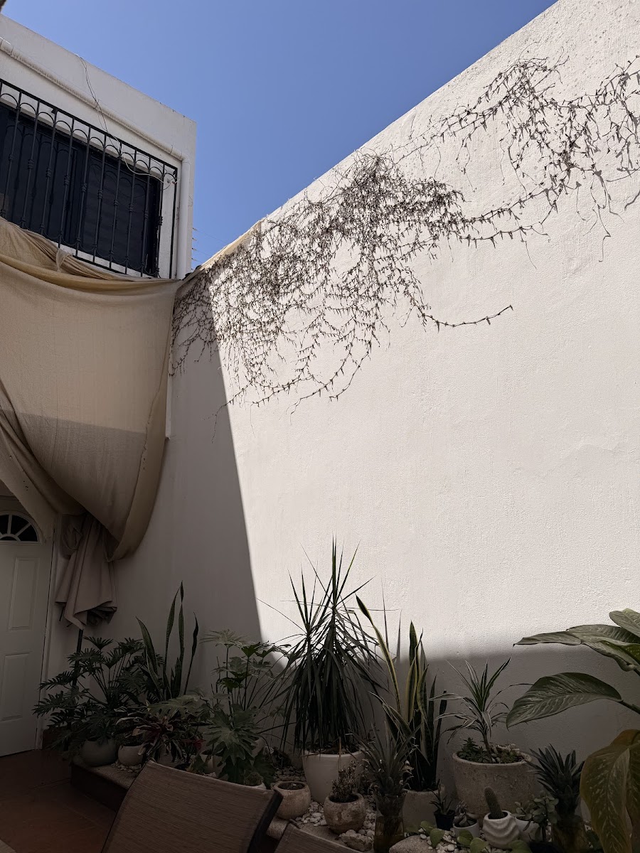 Casa Ambar photo 3