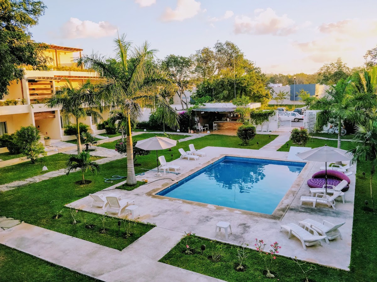 Xscapetulum photo 2