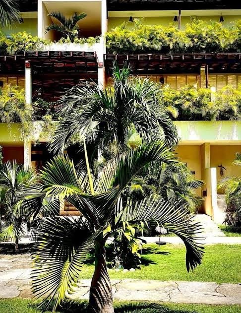 Xscapetulum photo 3