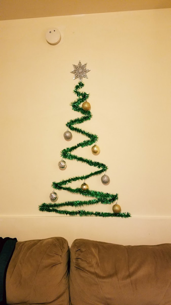 Wisconsin Inn photo 3