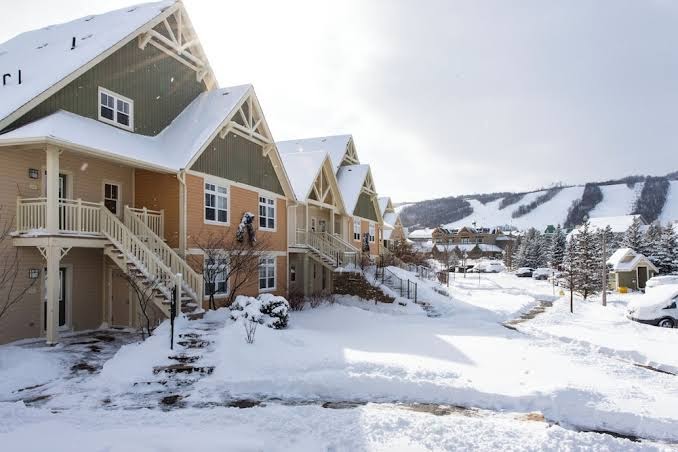 Blue Mountain Resort Home Collection photo 3