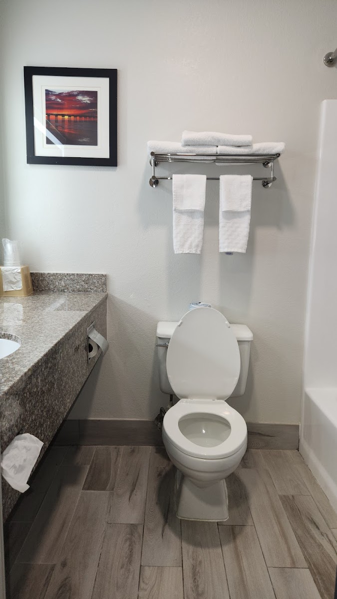 Americas Best Value Inn & Suites Foley Gulf Shores photo 3