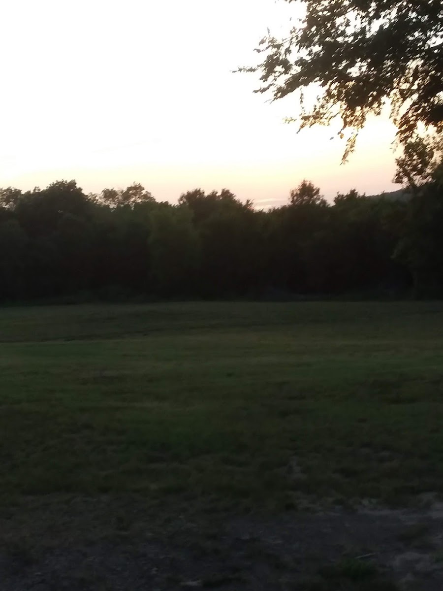 lakeview landing motel & RV park photo 2