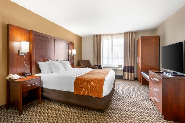 Comfort Suites Port Allen - Baton Rouge photo 2