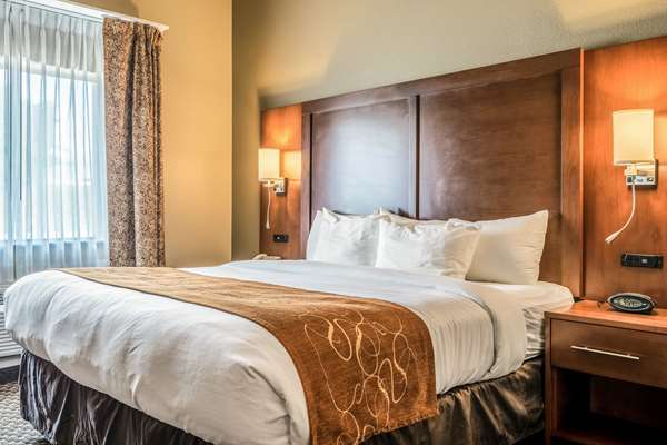 Comfort Suites Near Texas State University photo 2