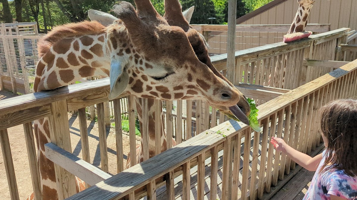 Elmwood Park Zoo