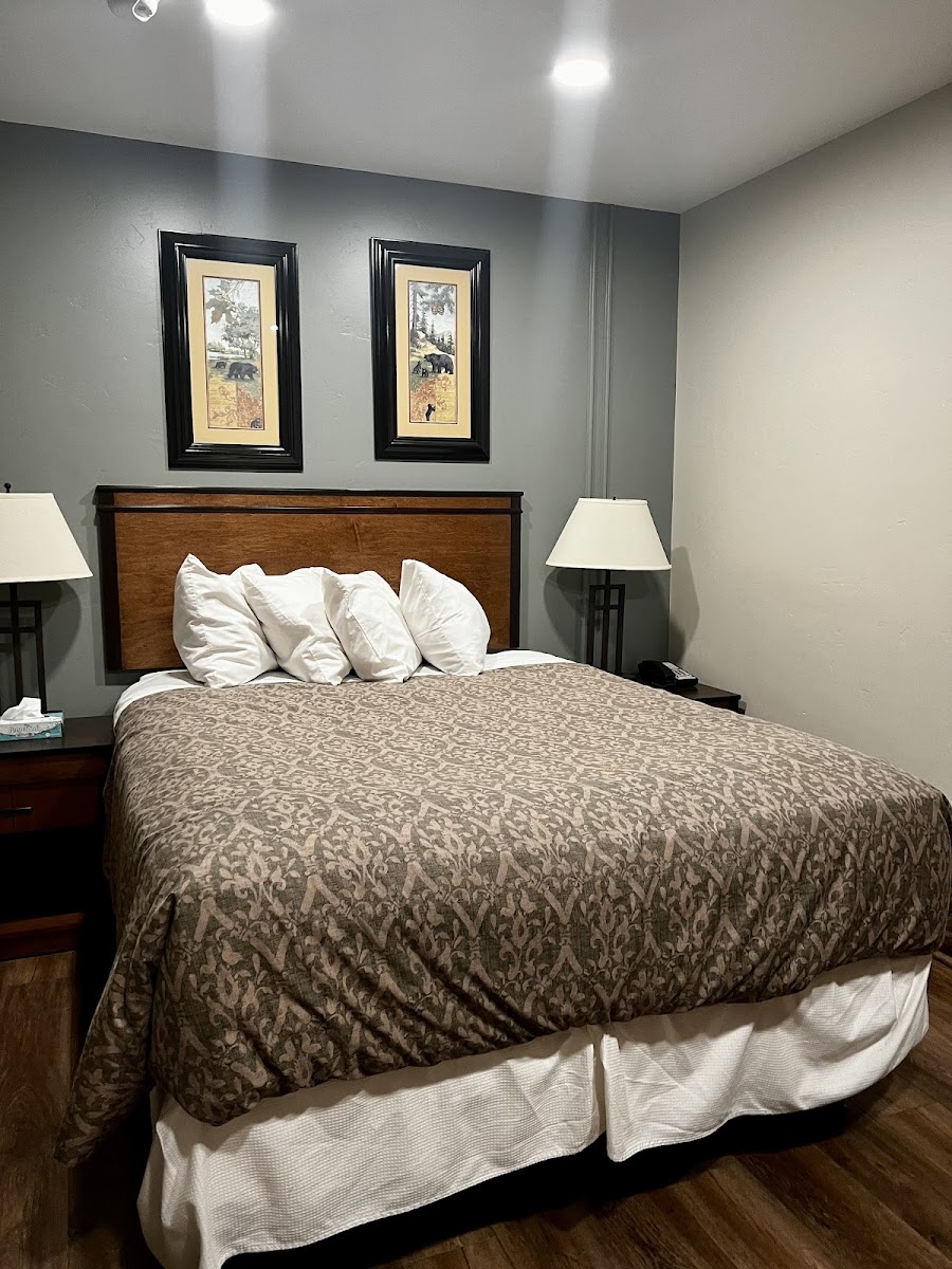 Back Country Inn photo 2
