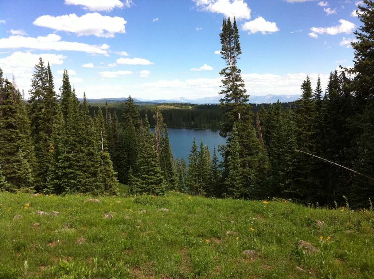 Mesa Lakes Lodge photo 3
