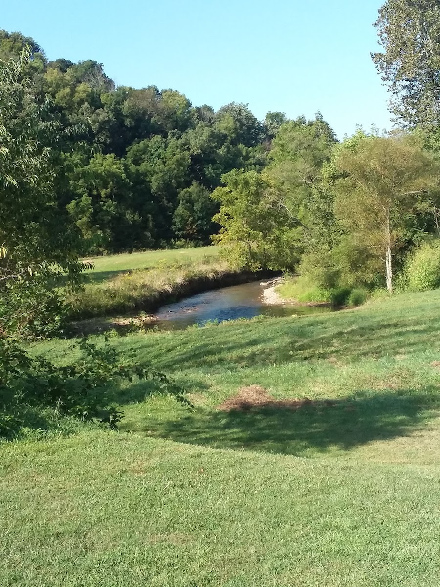 Cedar Springs Sportsmans Lodge