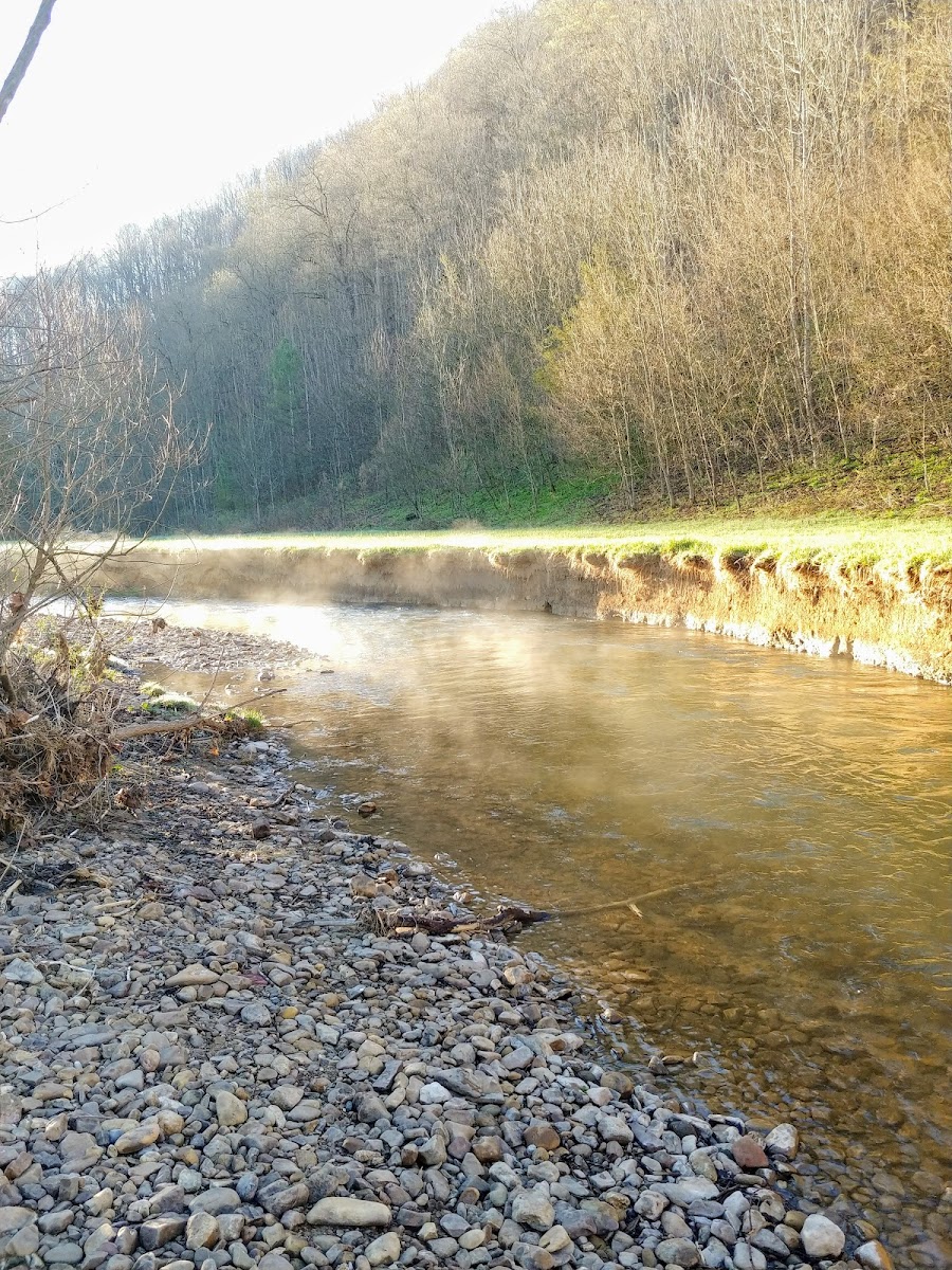 Cedar Springs Sportsmans Lodge photo 3