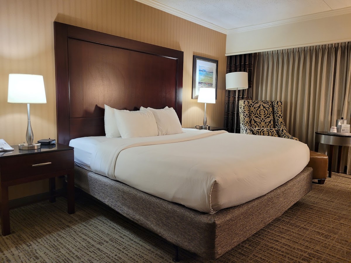 Crowne Plaza St. Louis Airport by IHG photo 2