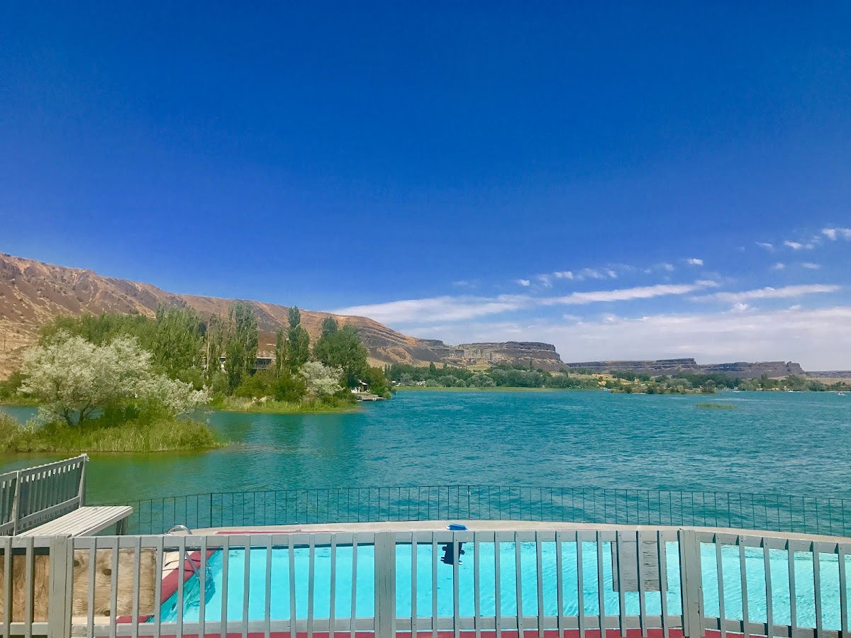 The Cove at Sun Lakes photo 2