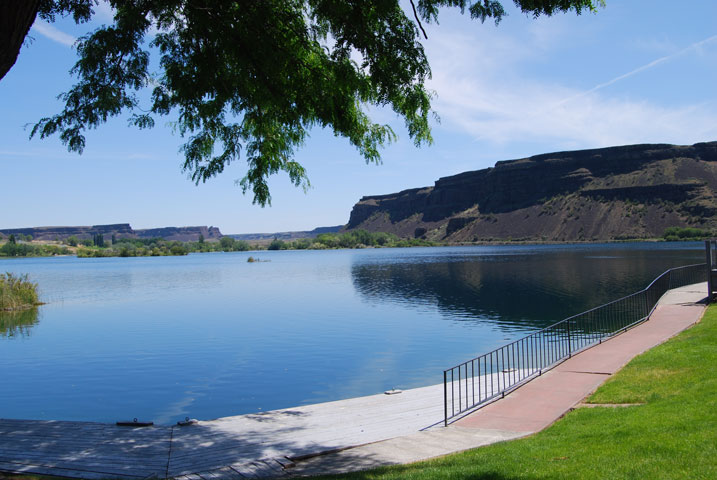 The Cove at Sun Lakes photo 3