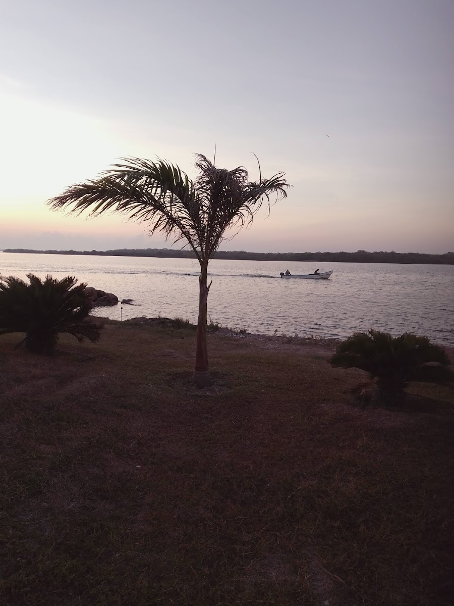 Hotel Bahía Real photo 3