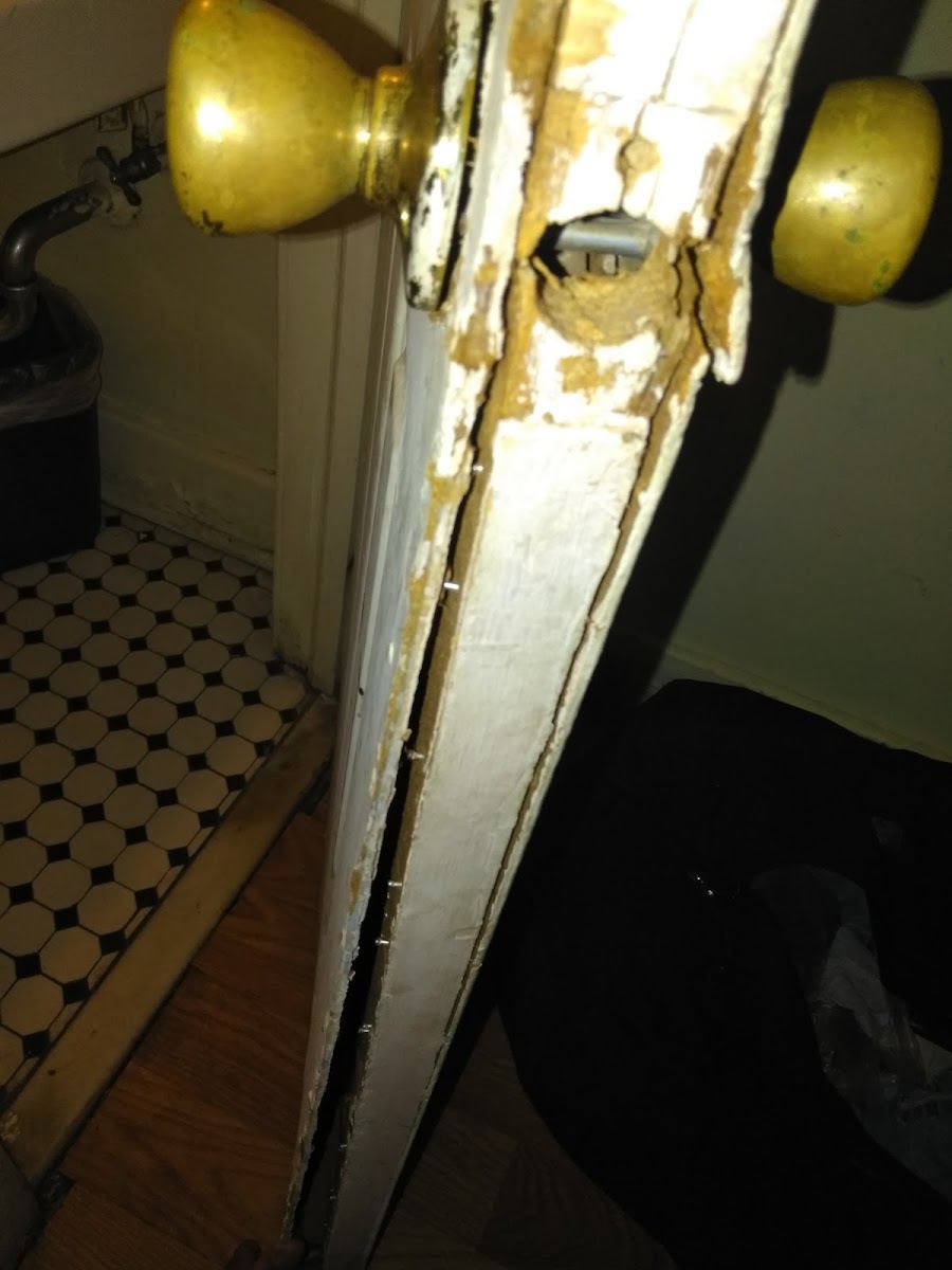 Charleston Heights Motel photo 3