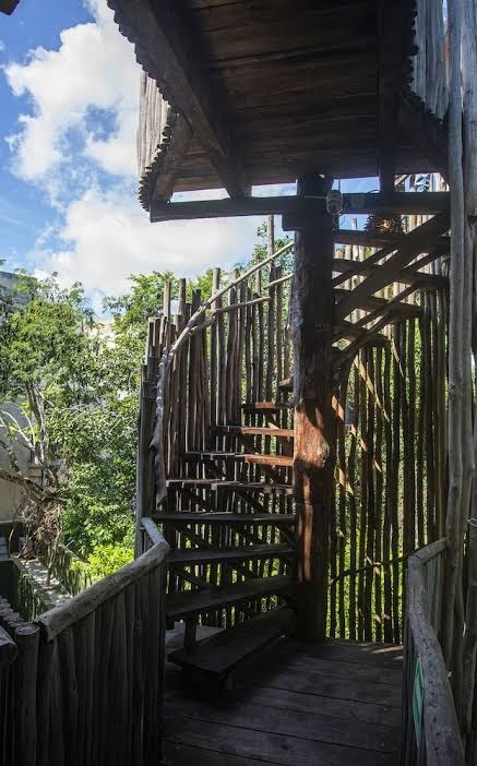 LOBA TULUM