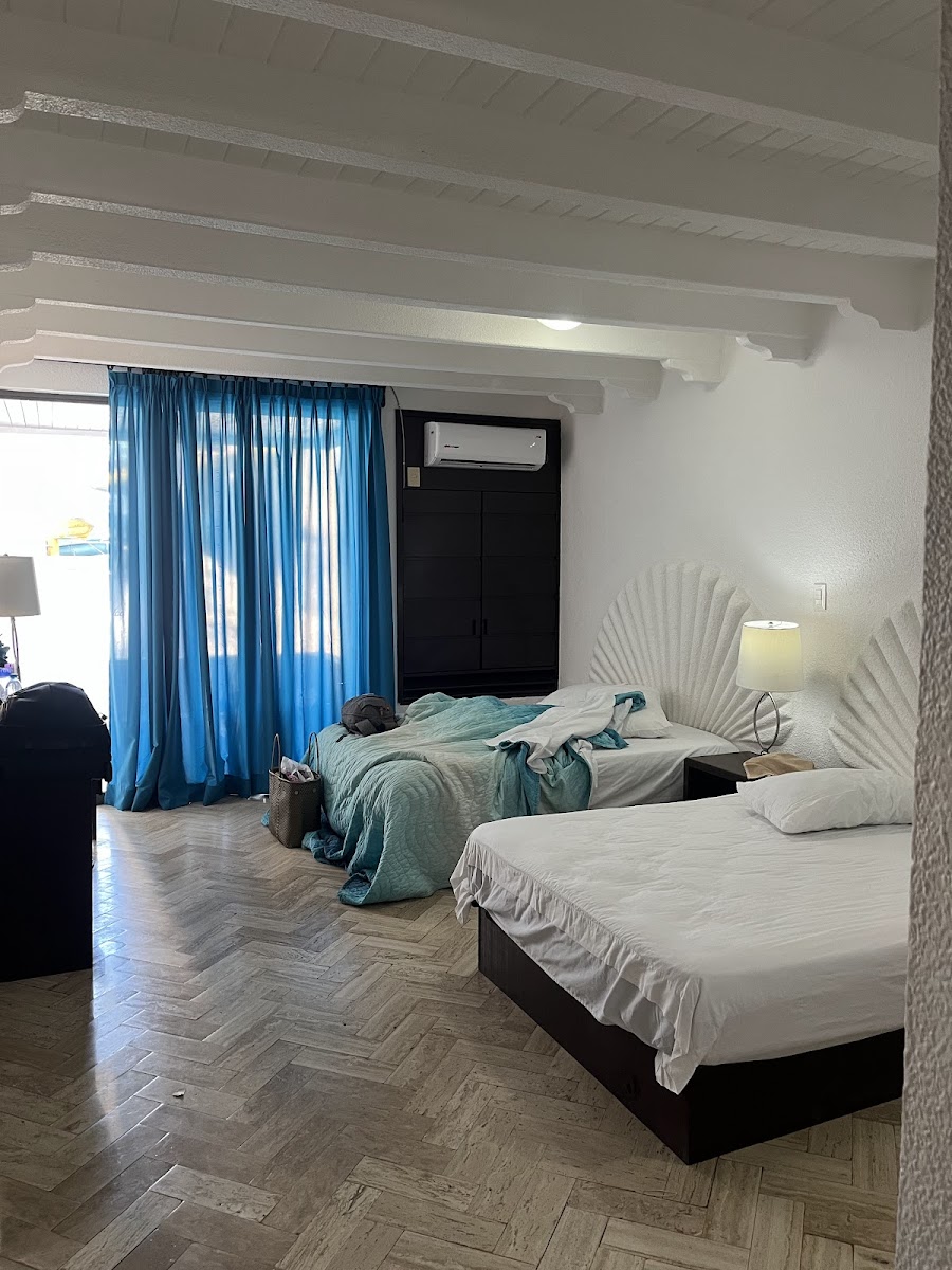 Hotel Ixtapa Palace Resort & Spa photo 2