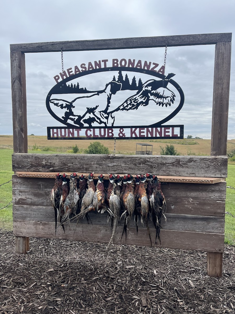 Pheasant Bonanza Hunt Club photo 2