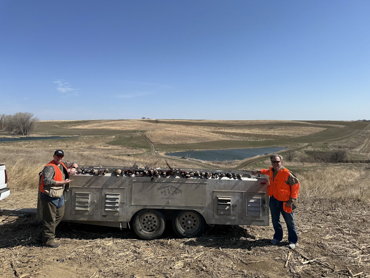 Pheasant Bonanza Hunt Club photo 3