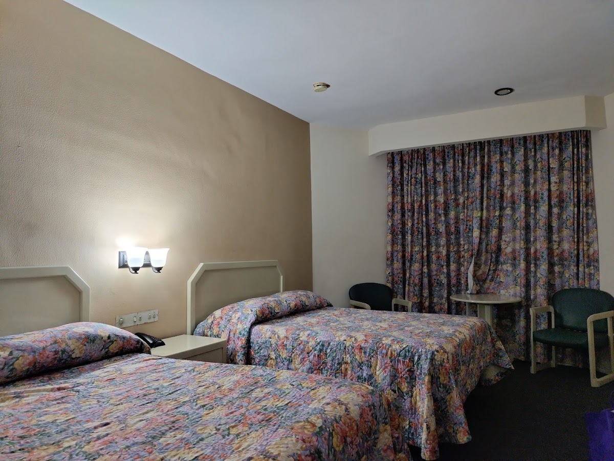 Hotel Ejecutivo Plus photo 2