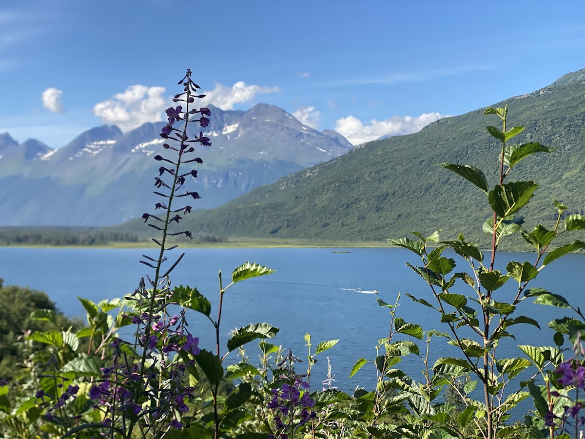 Robe Lake Lodge photo 3