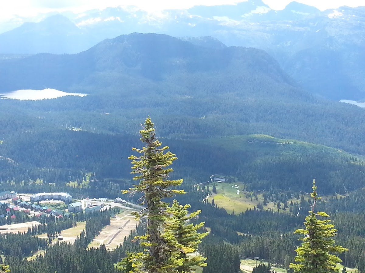 Mountainside Lodge photo 3