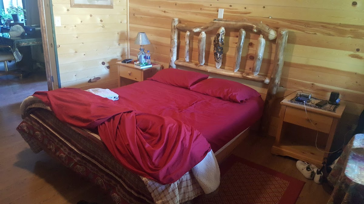 Buffalo Bungalow photo 2