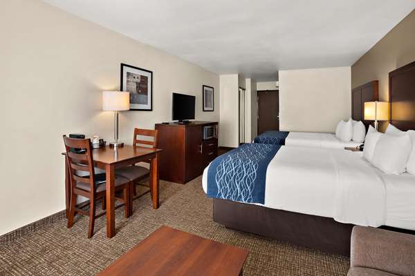 Comfort Inn Lacey - Olympia photo 2