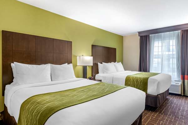 Comfort Inn San Diego Old Town photo 2